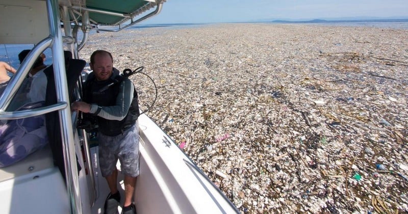 Tristes tropiques : Non loin des plages idylliques de ces îles des Caraïbes, une véritable marée de déchets plastique flotte mollement sous le soleil éclatant