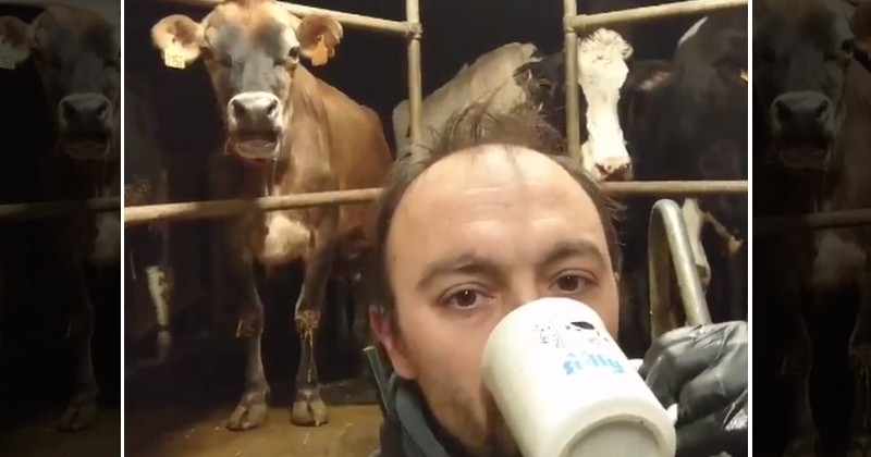 Un agriculteur se filme en train de boire du lait et promet 3 000 litres de lait aux Restos du Cœur et à la Banque Alimentaire