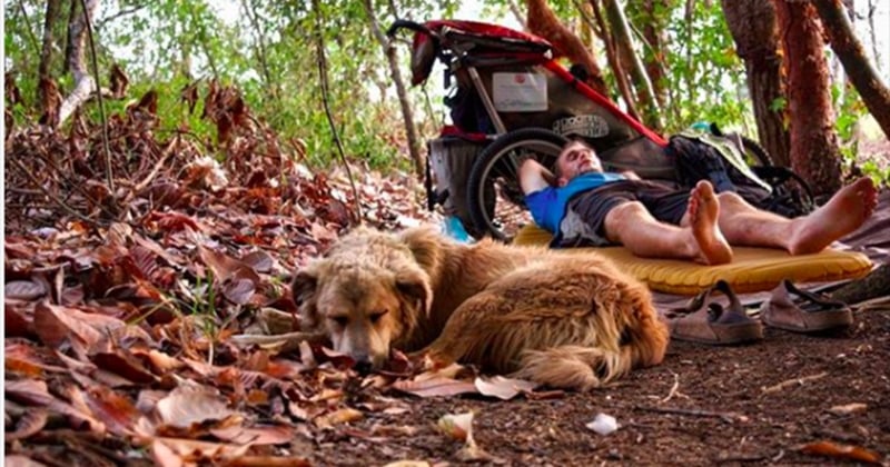 Après avoir remis sa vie en question, ce jeune homme a décidé de faire le tour du monde à pied avec son chien ! 