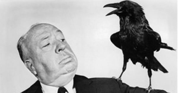 9 choses fascinantes et méconnues à savoir sur les corbeaux, ces magnifiques oiseaux qui souffrent malheureusement d'une mauvaise réputation...