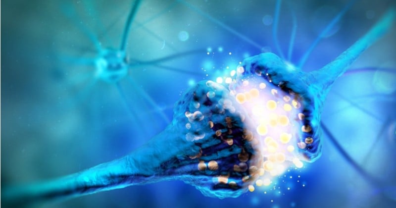 Intelligence artificielle : des chercheurs du CNRS sont parvenus à reproduire (de manière simplifiée) le mécanisme du cerveau humain