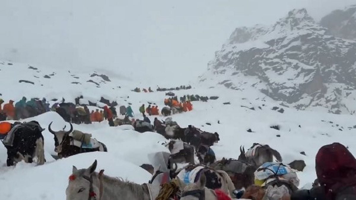 600 personnes sont bloquées en haut de l'Everest après avoir été prises au piège par un terrible blizzard
