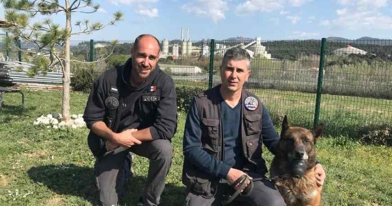 Marseille : des policiers ont créé un lieu de vie dédié aux vieux chiens qui ont travaillé avec eux pendant des années