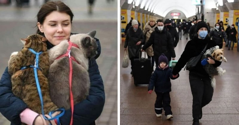 20 images déchirantes d'Ukrainiens fuyant leur pays avec leur animaux de compagnie