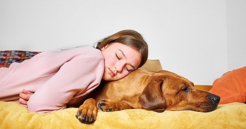 Si vous dormez avec votre chien, voici pourquoi vous devriez arrêter, selon une vétérinaire