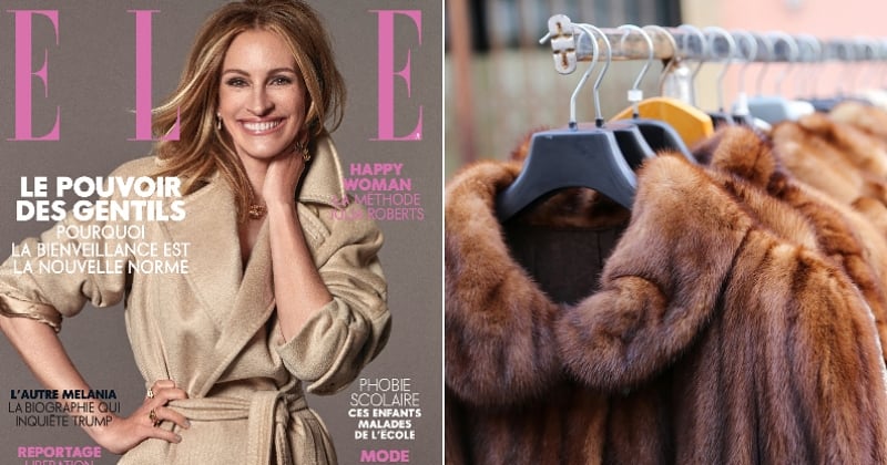 Le magazine ELLE va exclure la fourrure animale de toutes ses publications