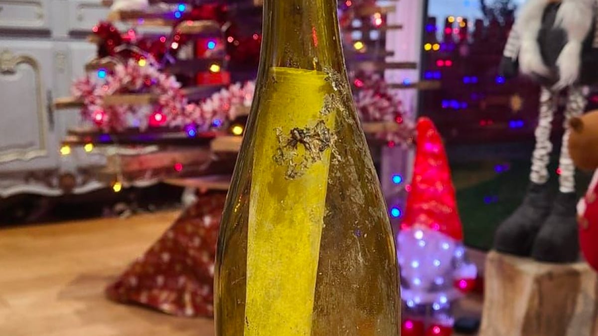 Sur l'île de Groix, ils retrouvent une bouteille jetée à la mer 16 ans auparavant dans la mer des Caraïbes