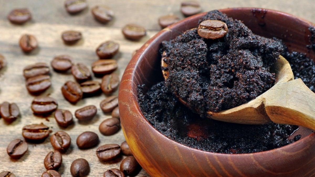 Ne jetez plus vos marcs de café : ces plantes en raffolent... et la plupart des jardiniers l'ignorent encore