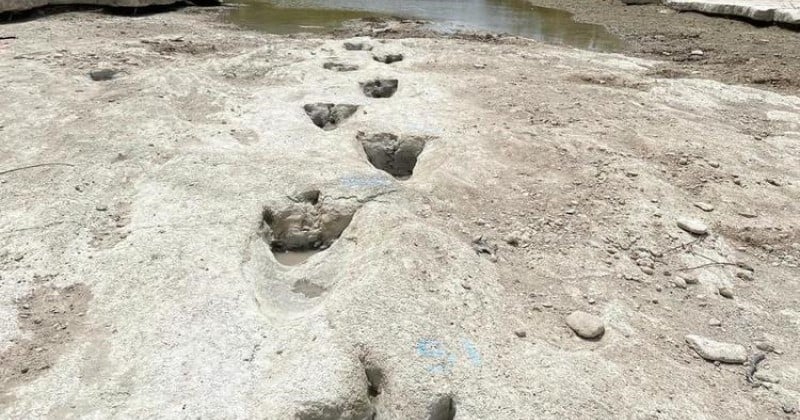 Des empreintes de dinosaures vieilles de 113 millions d'années découvertes dans le lit d'une rivière asséchée