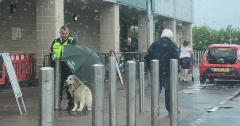 En Écosse, un agent de sécurité a utilisé son parapluie pour protéger un chien d'une grosse averse