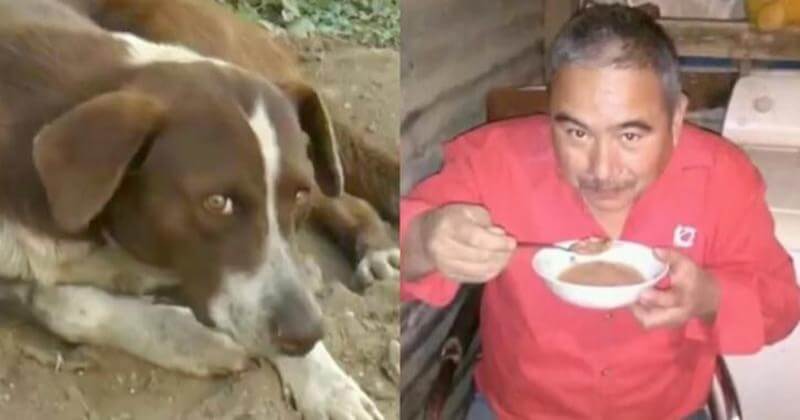 Photo of Tras la muerte de su dueño en una mina de carbón, este perro acude todos los días al escenario de la tragedia donde espera su regreso.