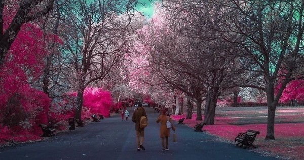Il vit sa vie de photographe en infrarouge : ses clichés sont incroyables !