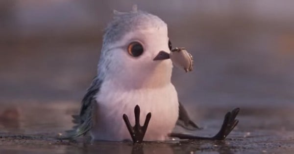 Faites la connaissance de « Piper », le nouveau personnage Pixar qui va vous faire craquer !