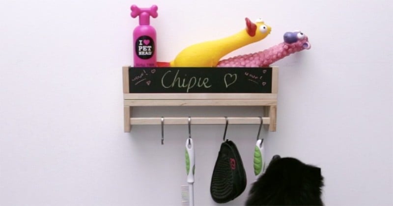 Fini les jouets éparpillés dans toute votre maison ! Réalisez une étagère personnalisée pour votre adorable animal de compagnie 