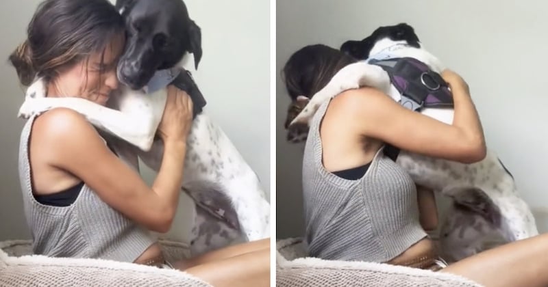 Cette chienne qui vient d'être adoptée câline sa nouvelle maîtresse et refuse de la lâcher, la vidéo fait fondre les internautes