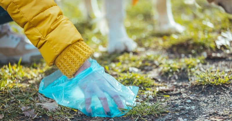 Ne pas ramasser les excréments de votre chien vous coûtera désormais 750 euros