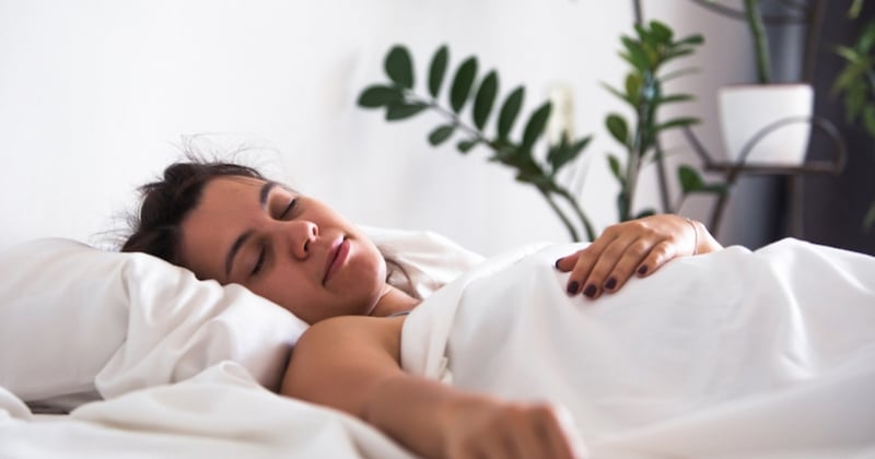6 plantes d'intérieur qui vous aideront à améliorer la qualité de votre sommeil 