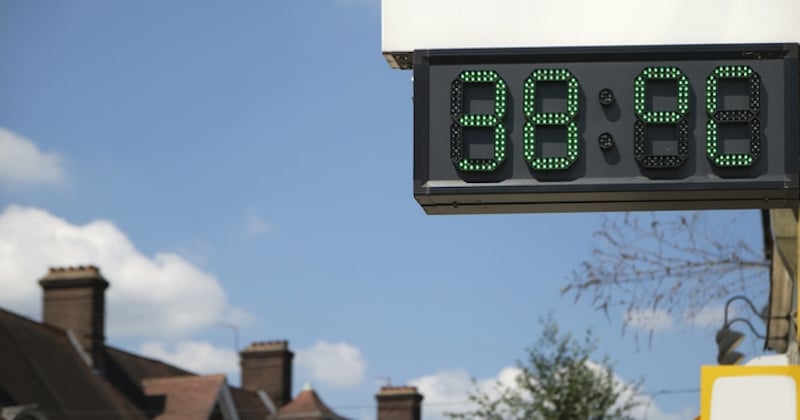 Enfermés dans un véhicule en pleine canicule, 10 chiens ont été secourus par une femme courageuse 