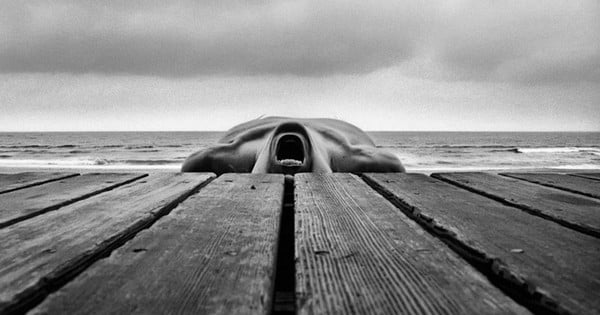 Il met en scène dans la nature son corps nu dans de sublimes photos noir et blanc