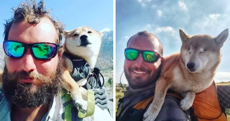 Pour aider sa chienne aveugle à retrouver sa joie de vivre, il parcourt 1800 kilomètres avec elle 