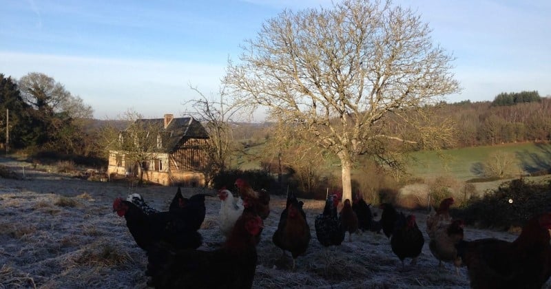 Fermée depuis 50 ans, l'épicerie de ce village normand a réouvert grâce à deux jeunes éleveurs