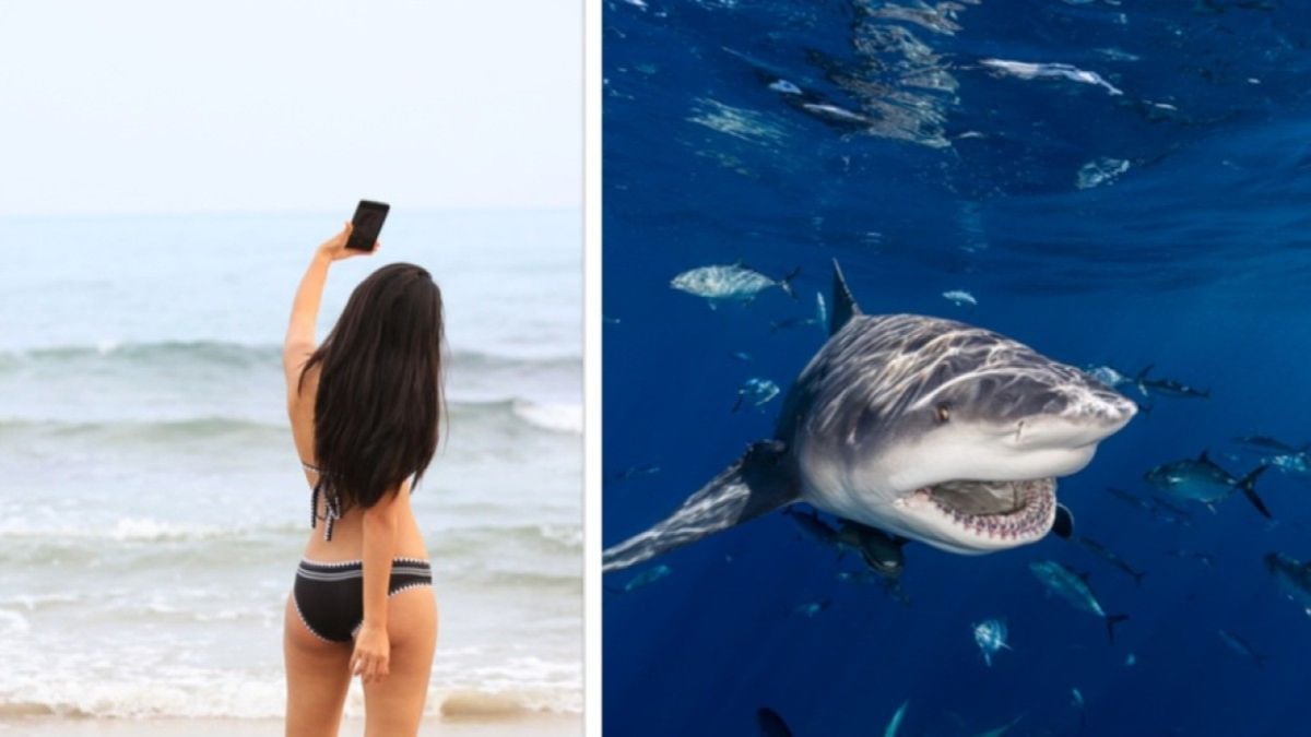 Elle perd ses deux mains après avoir voulu prendre un selfie avec un requin