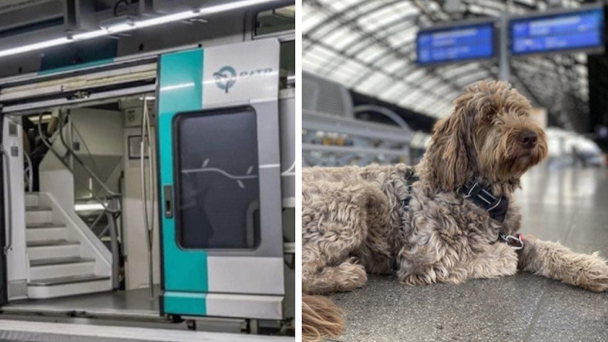 La laisse de son chien se coince dans les portes du RER C... elle se fait arracher deux doigts