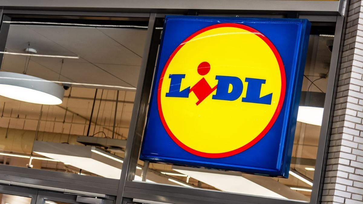 Lidl frappe fort avec ce magnifique objet de déco à moins de 4 € qui ressemble à une oeuvre d'art