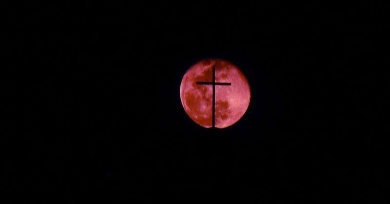 La pleine lune d'avril, surnommée « la lune rose », a illuminé le ciel ce week-end