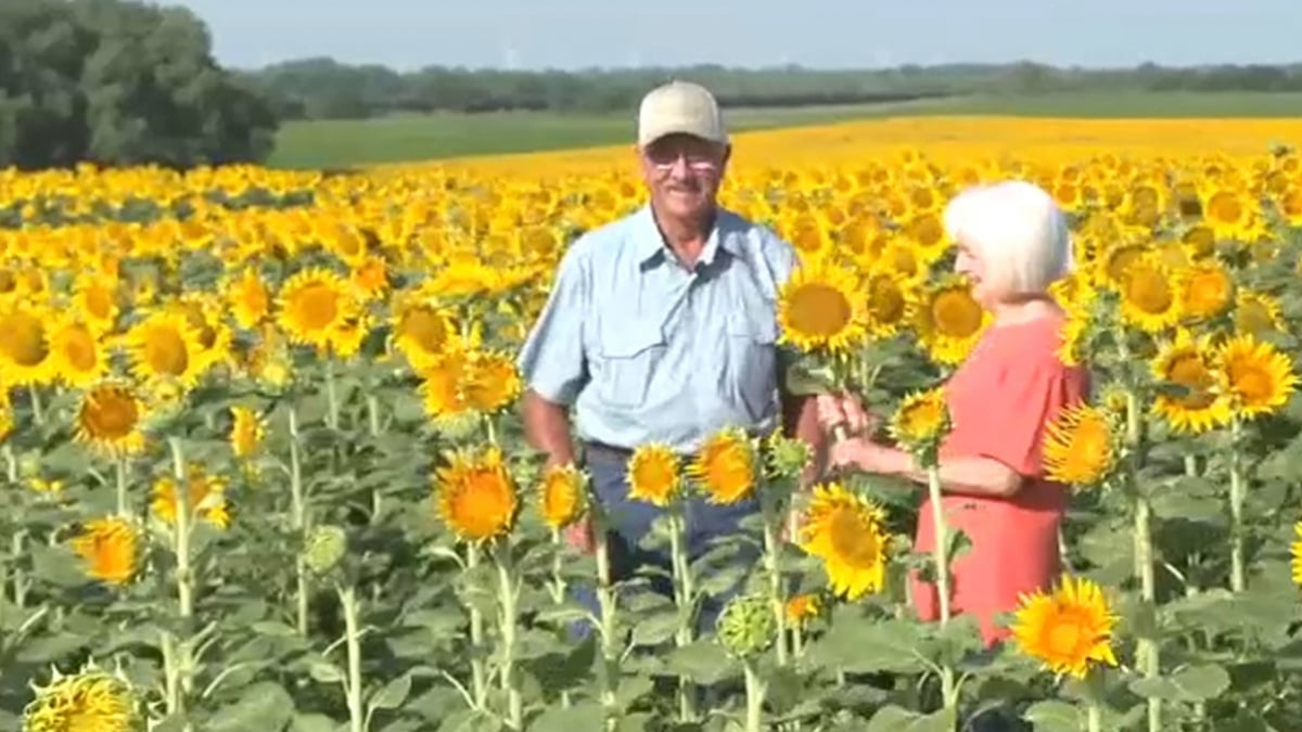 Pour célébrer ses 50 ans de mariage avec sa femme, il lui prépare la plus belle des surprises 