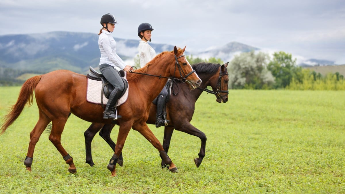 Des femmes à cheval