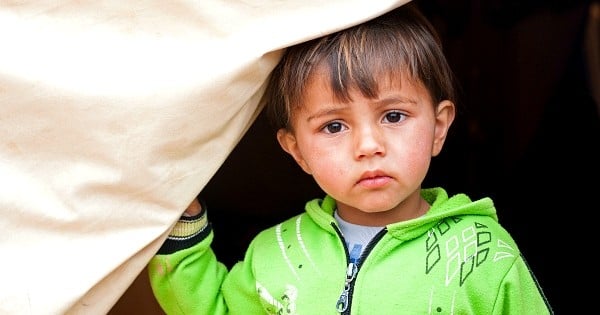 Meurtre : Un enfant de 3 ans retrouve tout seul l'assassin et le dénonce à la police ! La manière dont il a découvert le coupable fait peur, quand même...