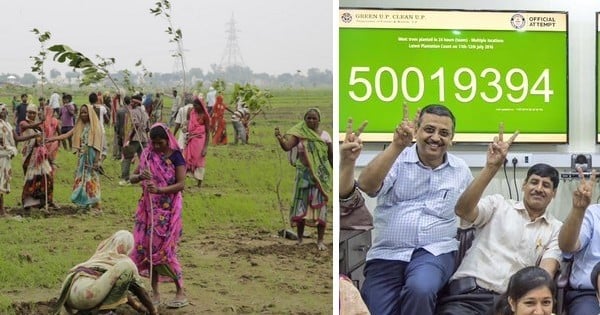 Allez, une bonne nouvelle pour changer : L'Inde vient de battre le record du monde du plus  grand nombre d'arbres plantés en une seule journée !