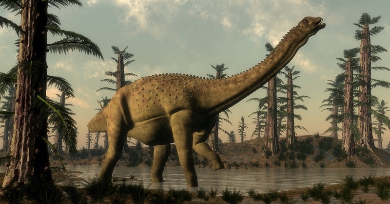 Incroyable ! Il découvre un squelette de dinosaure géant dans son