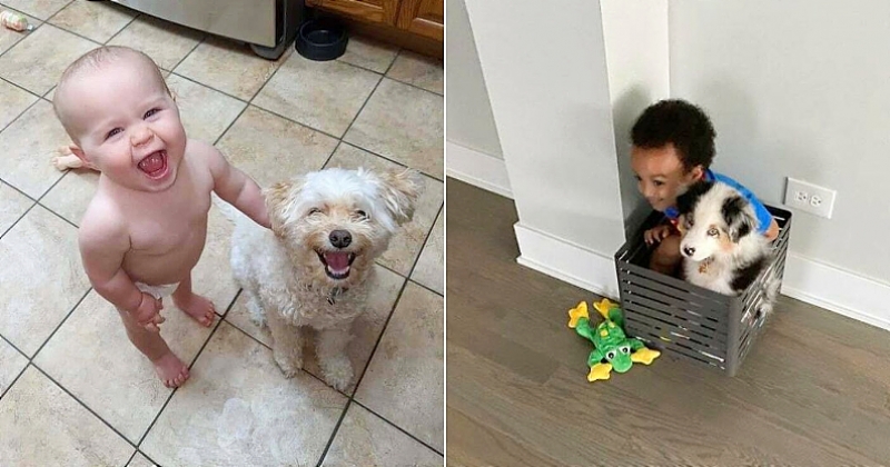 Qui a dit que les enfants ne devaient pas grandir avec un chien ? Ces 19 photos prouvent le contraire