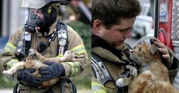 14 photos poignantes de pompiers accompagnés de l'animal qu'ils viennent de sauver 
