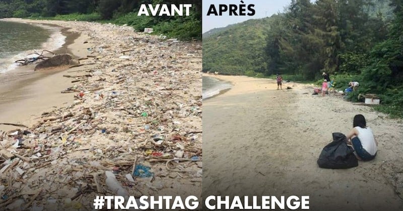 Trashtag Challenge, enfin un défi utile sur les réseaux sociaux en faveur de l'environnement