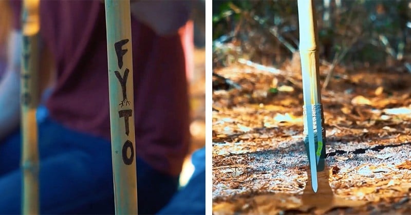 Grâce à ce bâton, vous pourrez planter un nouvel arbre chaque fois que vous faites un pas en forêt !