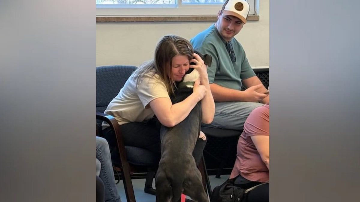 Capture d'écran TikTok 