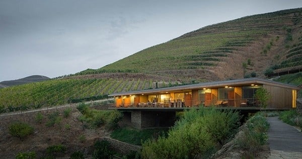 Amateurs de vins, cet hôtel de rêve planté en plein milieu des vignes, au Portugal, va vous faire  rêver
