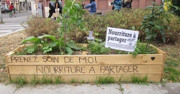 Il est maintenant possible de trouver un potager, gratuit et en libre-service, au coin de sa rue : un concept tout simplement génial !