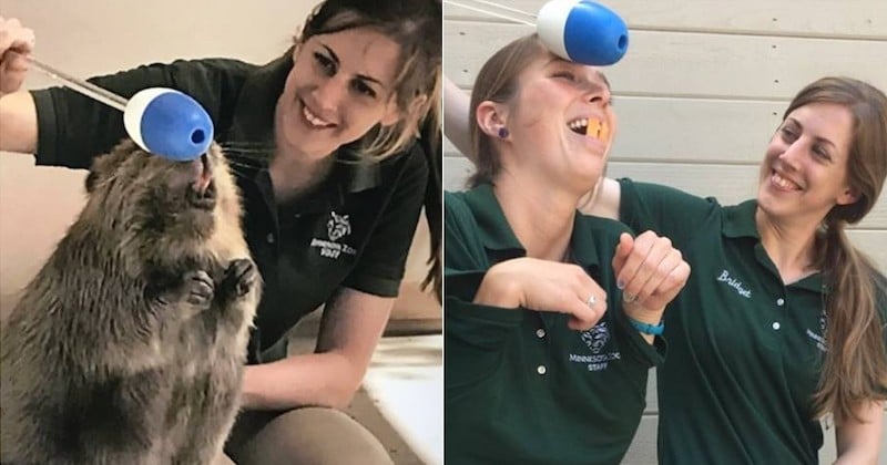 Quand les gardiens Zoo du Minnesota imitent ses animaux, ça donne un photoshoot hilarant ! 