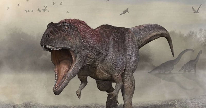 De ontdekking van een nieuw type dinosaurus onthult waarom oude roofdieren handvuurwapens hadden