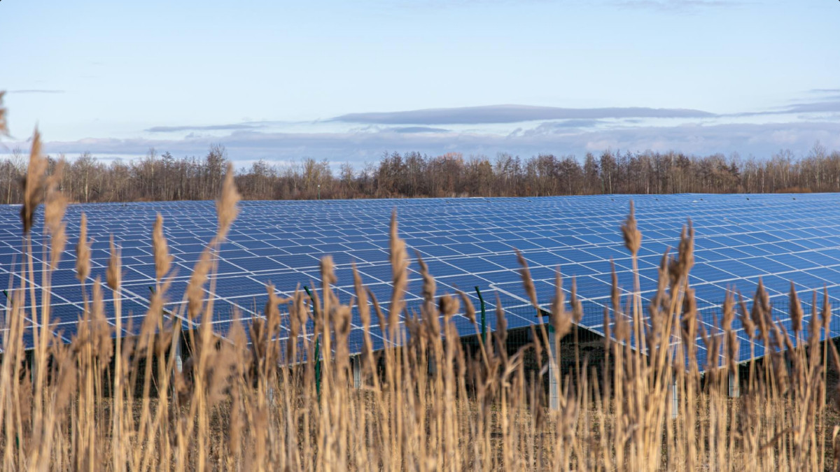Peut-on harmoniser l'agriculture bio et les pratiques agrivoltaïques ?