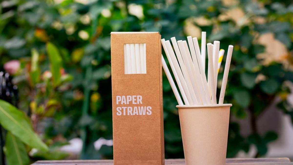 Une nouvelle étude remet en question l'intérêt des pailles en papier et bambou, censées être plus écologiques