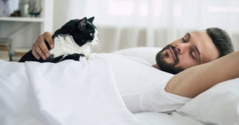 Peut-on dormir avec son animal de compagnie ? 