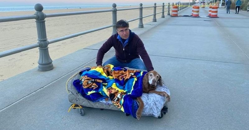 Il construit un lit sur des roulettes à sa chienne âgée pour qu'elle puisse continuer à se promener en bord de mer