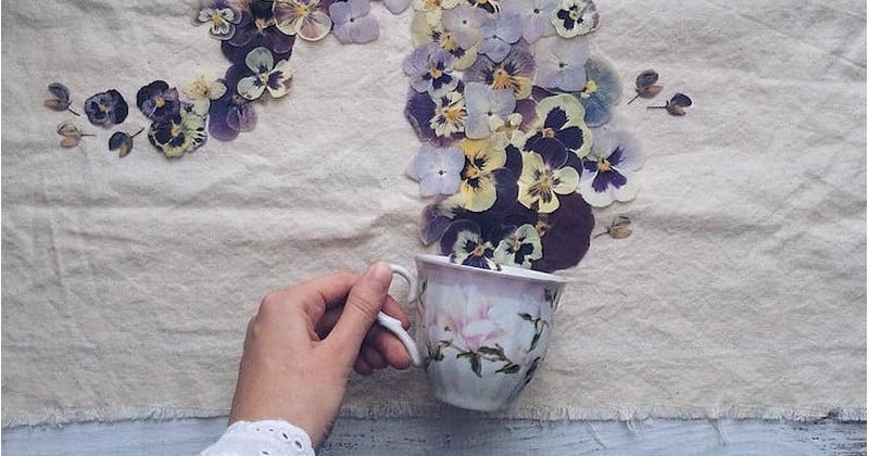 Avec des tasses renversées et des fleurs séchées, cette artiste Russe crée les plus délicates des compositions florales