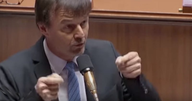 À l'Assemblée, Nicolas Hulot interpelle sèchement les députés au sujet de la biodiversité : « Je veux avoir un sursaut d'indignation et de réaction ! » 