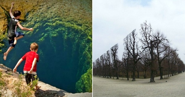 15 illusions d'optique que la nature nous offre. Ma-gni-fique !